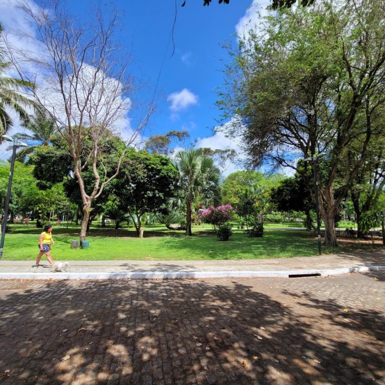 trilhas urbanas Parque Cocó
