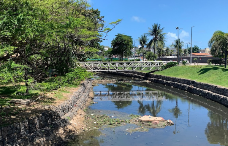 Foto real de Parque Bisão